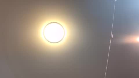 tranzGODess online show from May 2026 08:11:02 AM