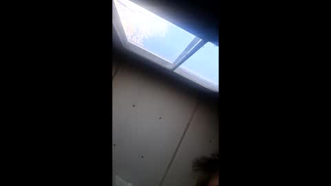 realisararebreed online show from December 2025 05:42:02 PM