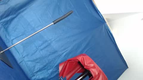 Snapshot of rebeccalachaude chatting on March 2025 07:48:01 AM Rebeccalachaude online show from March 2025 07:48:01 AM