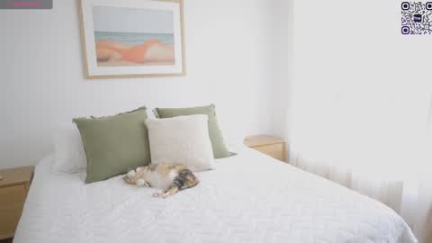 Snapshot of rebeccastonee chatting on January 2025 06:12:02 PM - Maria - Of rebeccastonec - telegram online show from January 2025 06:12:02 PM