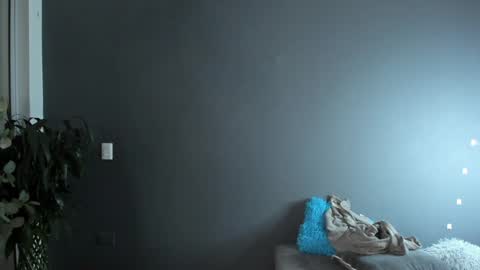 twitter REECET26 instagram RECCETAYLOR online show from February 2025 03:32:02 AM