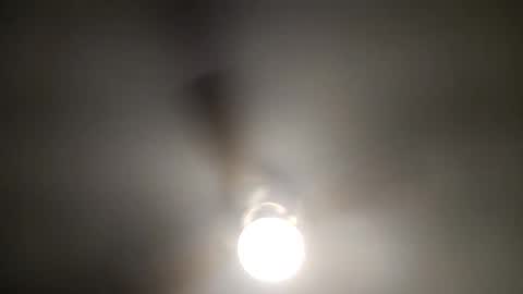 red24devils online show from December 2024 05:56:02 AM