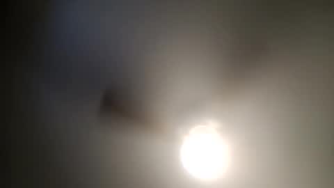 red24devils online show from December 2024 05:32:02 PM