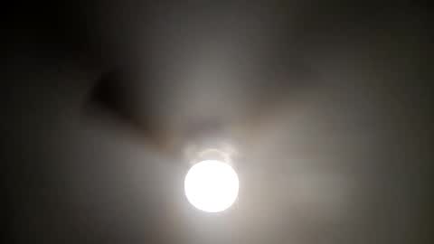 red24devils online show from January 2025 07:07:01 AM