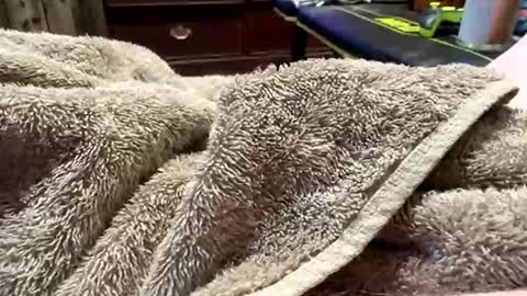 Red online show from March 2026 02:38:02 AM