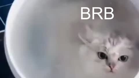 QUEEN OF EVIL online show from January 2025 12:17:01 AM