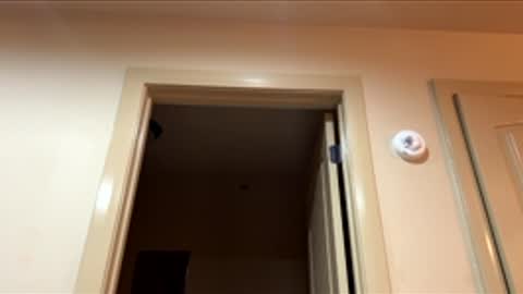Snapshot of redwood27 chatting on June 2026 04:02:01 AM redwood27 online show from June 2026 04:02:01 AM