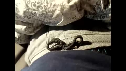 Snapshot of reedy123456789 chatting on October 2025 09:20:01 AM reedy123456789 online show from October 2025 09:20:01 AM