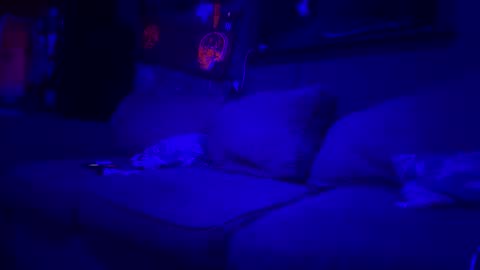 Snapshot of reeferleefer chatting on March 2026 01:54:01 AM Lee online show from March 2026 01:54:01 AM