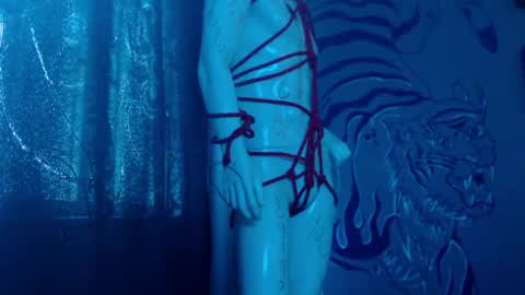 Regina online show from April 2026 12:10:02 PM