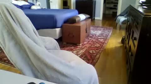 Snapshot of regularguynola chatting on January 2025 06:14:02 PM RegularGuyNOLA online show from January 2025 06:14:02 PM