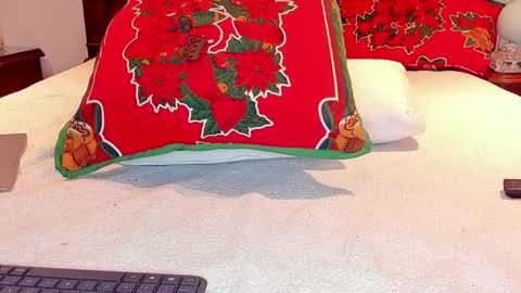 Snapshot of rei_jey chatting on January 2025 02:19:01 AM Reid Green online show from January 2025 02:19:01 AM