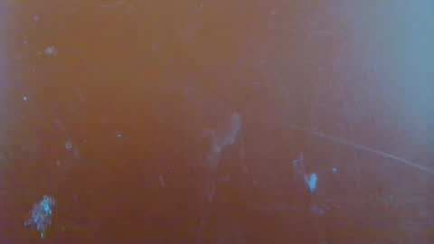 paola online show from January 2025 06:22:02 AM