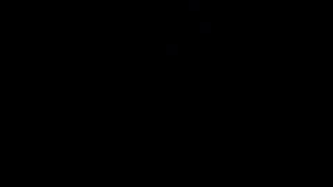 reinarica online show from April 2026 09:42:02 AM