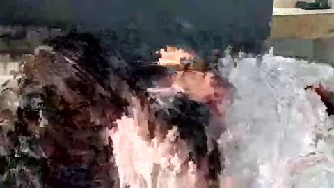 renaexx03 online show from September 2025 02:28:02 AM