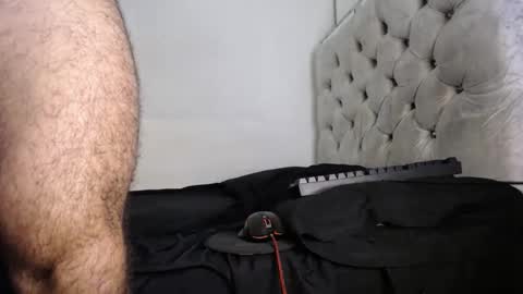 Snapshot of reypalo chatting on October 2025 01:41:01 PM rey palo online show from October 2025 01:41:01 PM