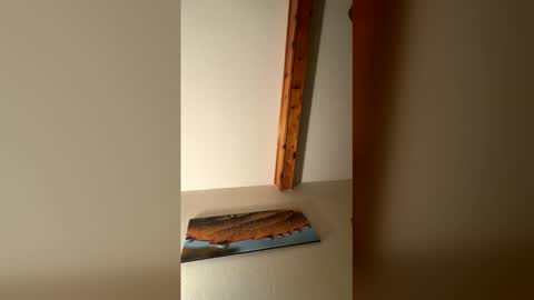 RhinoDickasaurus online show from December 2025 07:58:01 AM