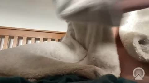 rhythman online show from July 2026 11:23:02 AM