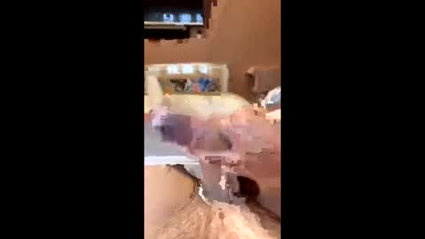 Snapshot of richmondal83 chatting on October 2025 03:01:02 PM richmondal83 online show from October 2025 03:01:02 PM