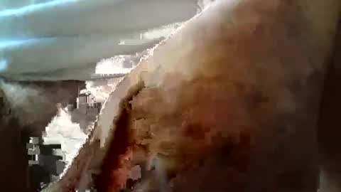 Always crusing cams online show from March 2026 06:35:01 PM