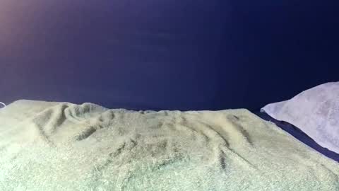 RicoChico773 online show from January 2026 09:16:02 PM