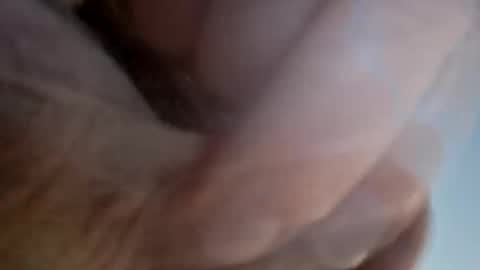 ridik2222333375562 online show from April 2026 02:28:01 AM