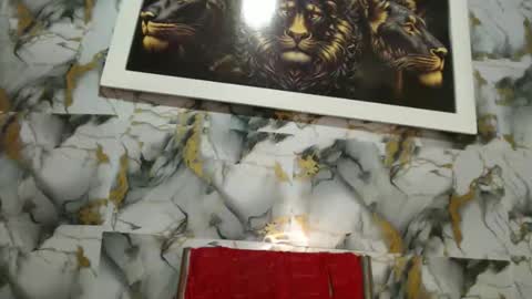 rigel online show from February 2026 06:28:01 PM