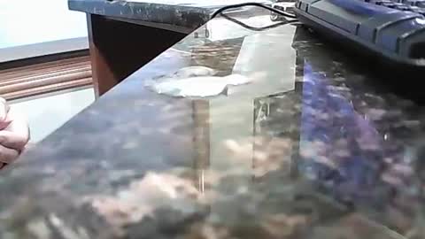 Snapshot of rigellan2021 chatting on October 2025 02:45:02 PM rigellan2021 online show from October 2025 02:45:02 PM