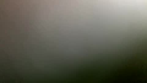 rimzari136 online show from April 2026 04:26:01 PM