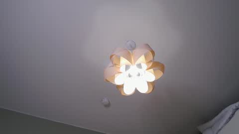 Rina online show from December 2024 09:17:02 AM