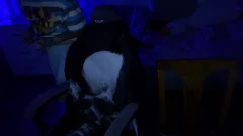   DianaBrite            fansl y online show from December 2024 07:48:02 PM