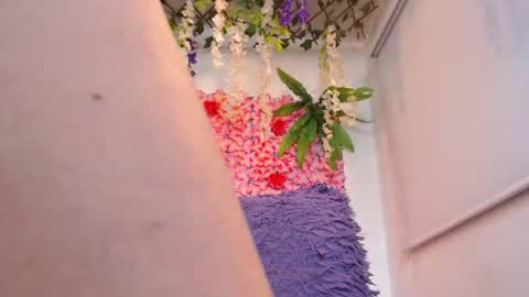 Risitos De Oro online show from June 2026 10:39:02 AM