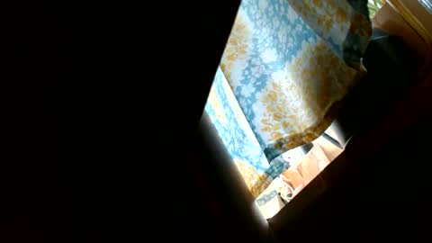 riskyjizznessss online show from December 2024 04:46:02 PM