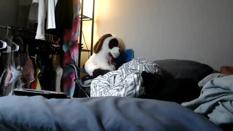 Snapshot of riversaint chatting on March 2025 11:04:02 PM River Saint online show from March 2025 11:04:02 PM