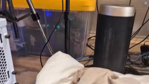 Ryan aka KeylimeRy online show from March 2025 09:02:02 AM