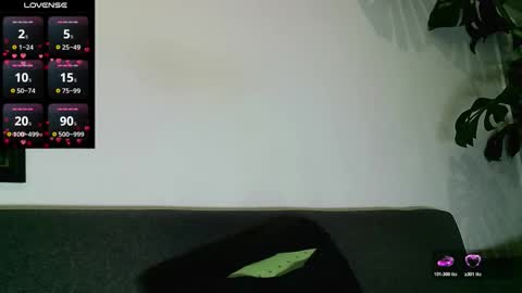 SebasRoa online show from January 2026 04:00:02 PM