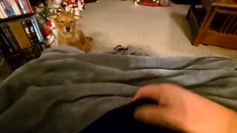 Snapshot of robbiebob6828 chatting on January 2026 04:26:02 AM robbiebob6828 online show from January 2026 04:26:02 AM