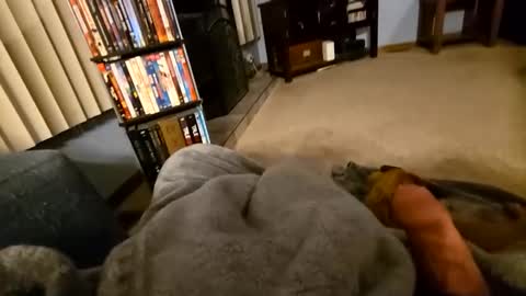 Snapshot of robbiebob6828 chatting on March 2026 04:14:02 AM robbiebob6828 online show from March 2026 04:14:02 AM