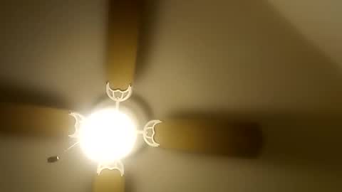 Snapshot of robertsaiz4200 chatting on December 2025 08:49:02 PM robertsaiz4200 online show from December 2025 08:49:02 PM