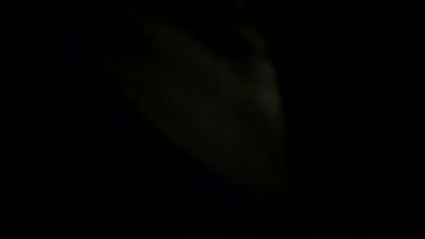 Johnny online show from May 2026 06:09:01 PM