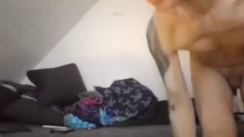 Snapshot of robertxxxpo chatting on February 2026 08:13:01 AM Zenek online show from February 2026 08:13:01 AM