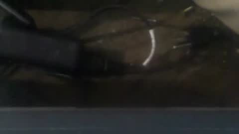 Snapshot of robincom23 chatting on December 2024 03:36:02 AM R online show from December 2024 03:36:02 AM