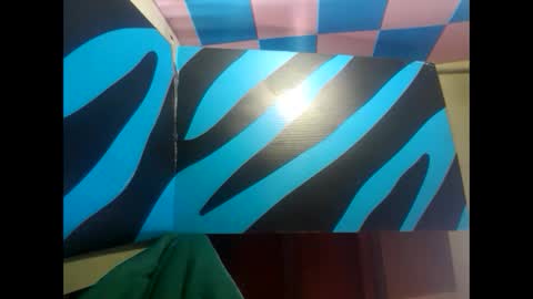 Snapshot of robincom23 chatting on February 2025 09:26:02 PM R online show from February 2025 09:26:02 PM