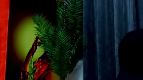 rocco_santos online show from February 2026 06:15:01 PM