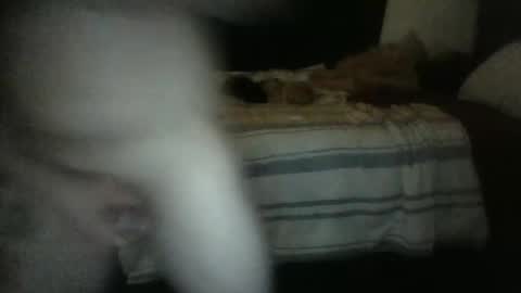 Snapshot of rockharder000 chatting on December 2024 11:25:02 AM rockharder000 online show from December 2024 11:25:02 AM