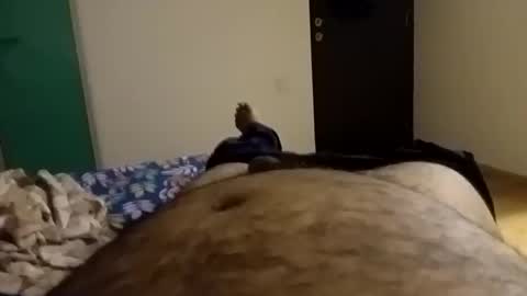 Snapshot of rockikoki chatting on February 2026 08:02:02 PM rockikoki online show from February 2026 08:02:02 PM