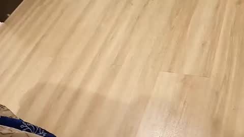 Snapshot of rockikoki chatting on March 2026 04:33:02 PM rockikoki online show from March 2026 04:33:02 PM