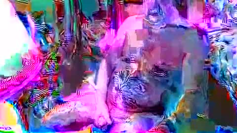 rocky082288 online show from December 2024 12:41:02 PM