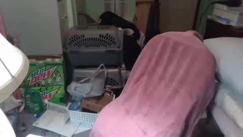 rocky082288 online show from November 2025 10:26:02 AM