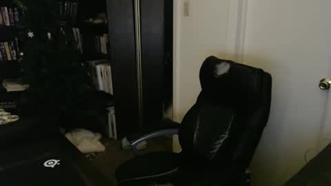 Snapshot of rockydanger chatting on February 2026 05:42:01 PM rockydanger online show from February 2026 05:42:01 PM